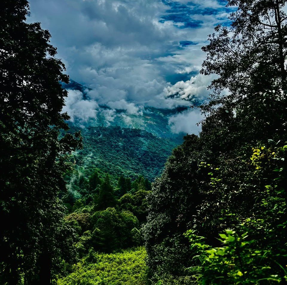 The Edge of the Country