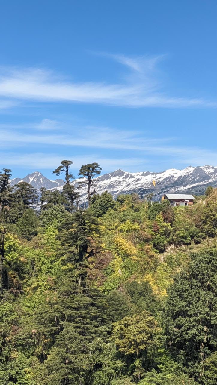 On the trail to Topogono